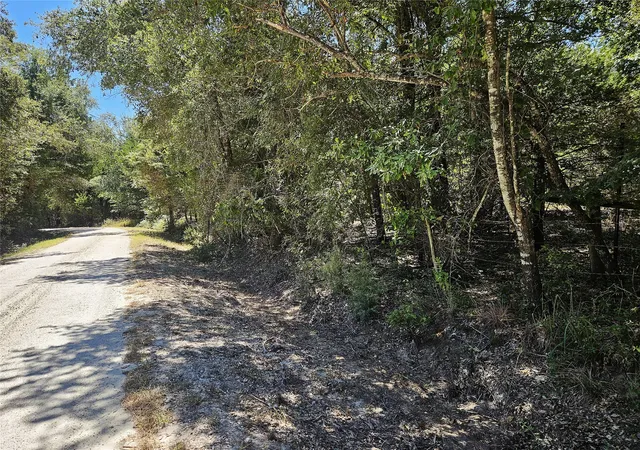 Photo 2 of Land for sale at 3151 Acres Love Rd, Kosse, TX 76653 | MLS# 21362643 | Listing updated on 2026-08-19