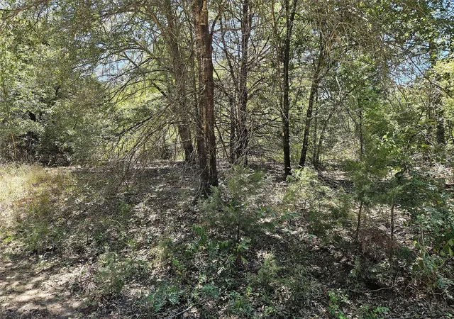 Photo 3 of Land for sale at 3151 Acres Love Rd, Kosse, TX 76653 | MLS# 21362643 | Listing updated on 2026-08-19