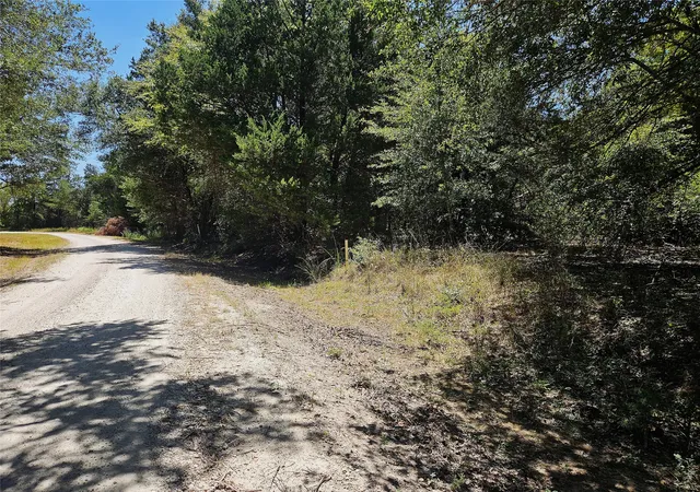 Photo 3 of Land for sale at 3151 Acres Love Rd, Kosse, TX 76653 | MLS# 21362643 | Listing updated on 2026-08-19
