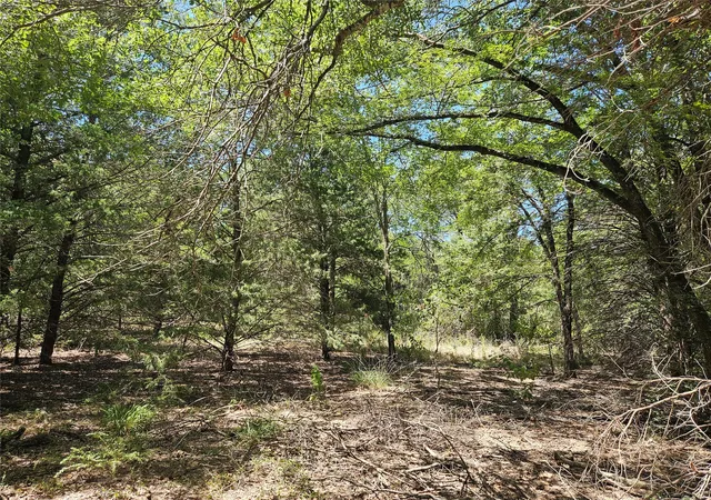 Photo 4 of Land for sale at 3151 Acres Love Rd, Kosse, TX 76653 | MLS# 21362643 | Listing updated on 2026-08-19