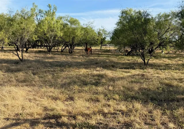 Photo 3 of Land for sale at 3930 Crestridge Dr, Brownwood, TX 76801 | MLS# 21362696 | Listing updated on 2026-08-19