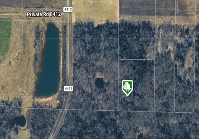 Photo 1 of Land for sale at 270 Vz County Road 4419, Ben Wheeler, TX 75754 | MLS# 21352581 | Listing updated on 2026-08-21