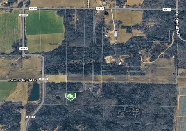 Photo 2 of Land for sale at 270 Vz County Road 4419, Ben Wheeler, TX 75754 | MLS# 21352581 | Listing updated on 2026-08-21