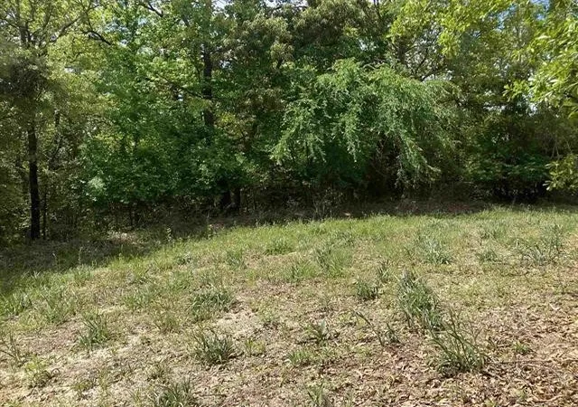 Photo 3 of Sale Pending at 2433 Wellington Tr, Tyler, TX 75709 | MLS# 21363572 | Listing updated on 2026-10-04