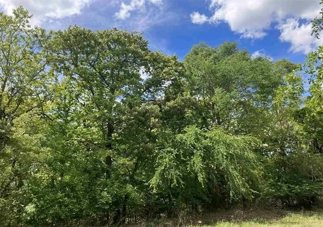Photo 4 of Sale Pending at 2433 Wellington Tr, Tyler, TX 75709 | MLS# 21363572 | Listing updated on 2026-10-04