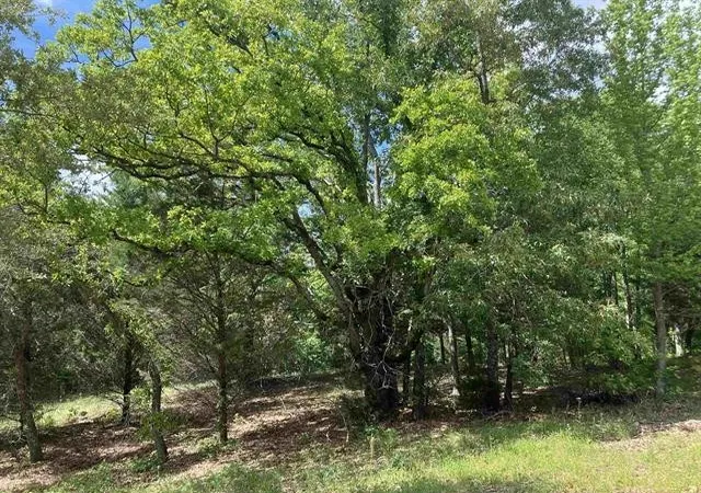 Photo 6 of Sale Pending at 2433 Wellington Tr, Tyler, TX 75709 | MLS# 21363572 | Listing updated on 2026-10-04