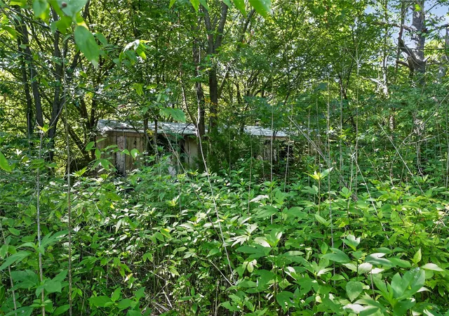 Photo 4 of Land for sale at Tbd W 1St St, Purdon, TX 76679 | MLS# 21363616 | Listing updated on 2026-09-30