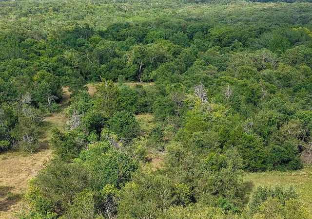 Photo 3 of Land for sale at 1210 County Road 302, Rockdale, TX 76567 | MLS# 21363522 | Listing updated on 2026-08-19
