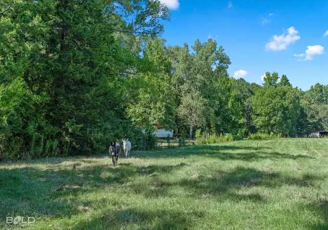 Photo 4 of Land for sale at 0 Rocky Mount Rd, Plain Dealing, LA 71064 | MLS# 21362916 | Listing updated on 2026-08-24