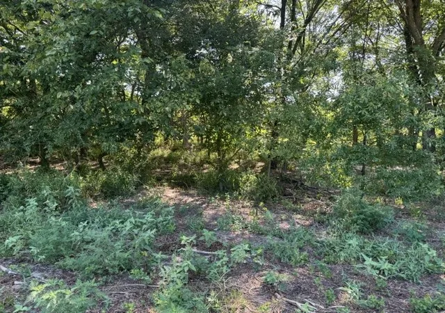 Photo 4 of Land for sale at Tbd County Rd 1300 And County Rd 1295, Emory, TX 75440 | MLS# 21362625 | Listing updated on 2026-08-21