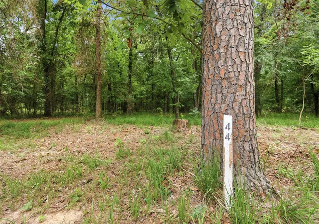 Photo 1 of Land for sale at Lot 44 Sterling Shores Dr, Scroggins, TX 75480 | MLS# 21275960 | Listing updated on 2026-09-04