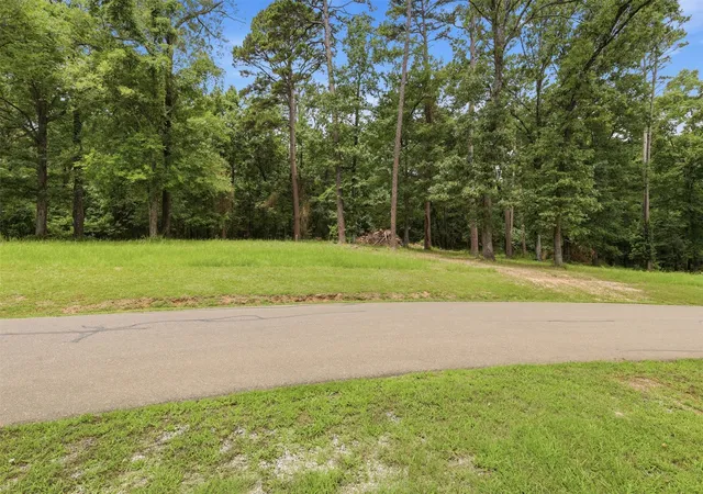 Photo 2 of Land for sale at Lot 44 Sterling Shores Dr, Scroggins, TX 75480 | MLS# 21275960 | Listing updated on 2026-09-04