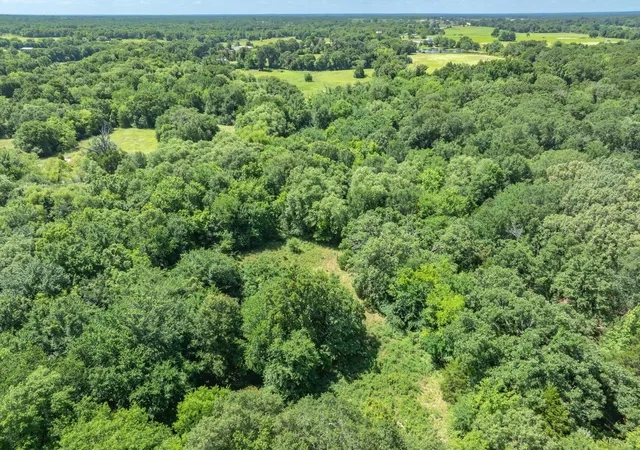 Photo 3 of Land for sale at Lot 8 Rs County Road 1150, Emory, TX 75440 | MLS# 21358408 | Listing updated on 2026-08-19