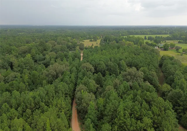 Land for sale at 13814 Fm 1716 E, Henderson, TX 75652 | MLS# 21364134