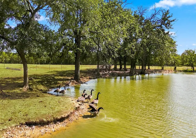 Photo 4 of Single family home for sale at 261 Hunter Ct, Argyle, TX 76226 | MLS# 21362929 | Listing updated on 2026-08-20
