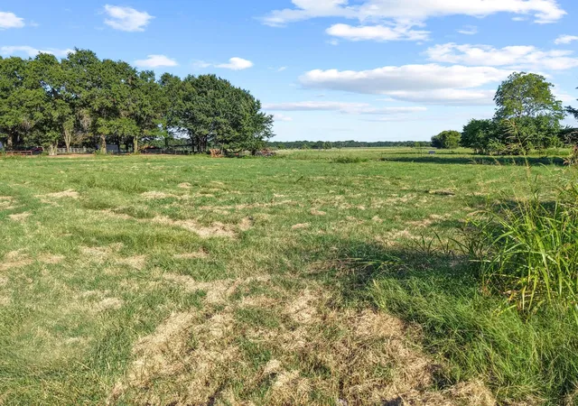 Photo 27 of Land for sale at 000 County Road 2131, Telephone, TX 75488 | MLS# 21364685 | Listing updated on 2026-08-21