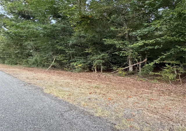 Photo 2 of Land for sale at 000 Airline Rd, Dubach, LA 71235 | MLS# 21361843 | Listing updated on 2026-08-20