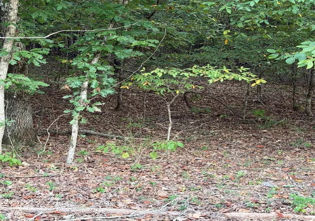 Photo 3 of Land for sale at 000 Airline Rd, Dubach, LA 71235 | MLS# 21361843 | Listing updated on 2026-08-20