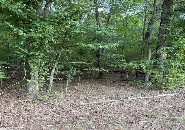 Photo 3 of Land for sale at 000 Airline Rd, Dubach, LA 71235 | MLS# 21361843 | Listing updated on 2026-08-20