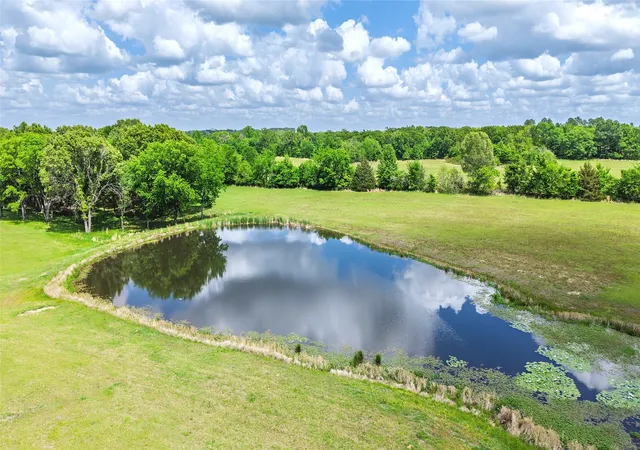 Photo 2 of Land for sale at Tbd Pr 5291, Yantis, TX 75497 | MLS# 21364825 | Listing updated on 2026-08-20