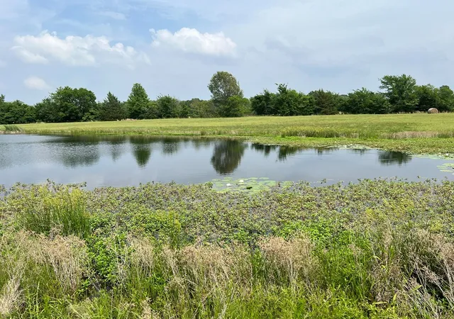Photo 3 of Land for sale at Tbd Pr 5291, Yantis, TX 75497 | MLS# 21364825 | Listing updated on 2026-08-20