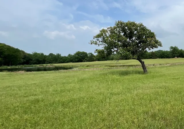 Photo 4 of Land for sale at Tbd Pr 5291, Yantis, TX 75497 | MLS# 21364825 | Listing updated on 2026-08-20