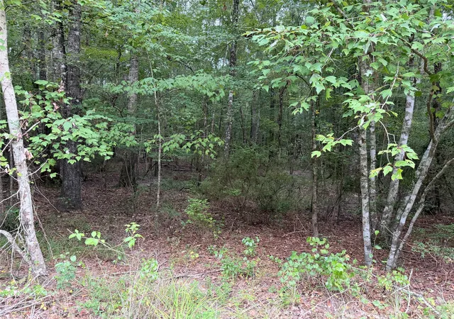 Photo 2 of Land for sale at 0003 Airline Rd, Dubach, LA 71235 | MLS# 21361925 | Listing updated on 2026-08-20