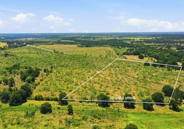 Land for sale at 260 Cr 366 #Tract 8, Gorman, TX 76454 | MLS# 21364847
