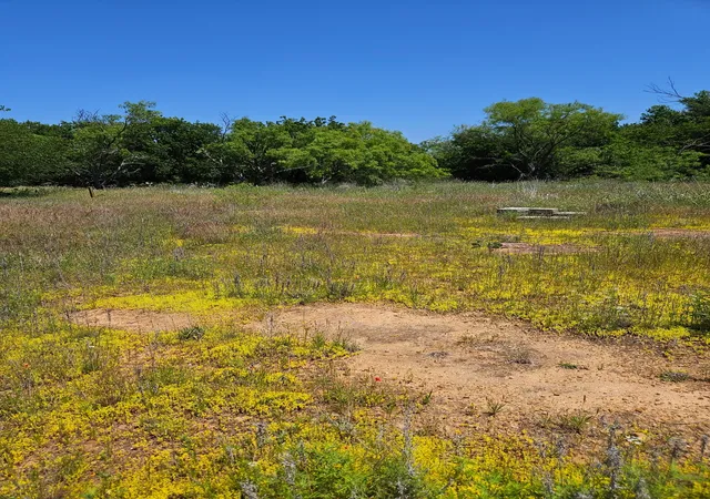 Photo 4 of Land for sale at 404 Hwy 6, Cisco, TX 76437 | MLS# 21363922 | Listing updated on 2026-08-20