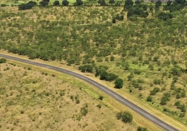 Photo 2 of Land for sale at 260 Cr 366 #Tract 9, Gorman, TX 76454 | MLS# 21364871 | Listing updated on 2026-09-18