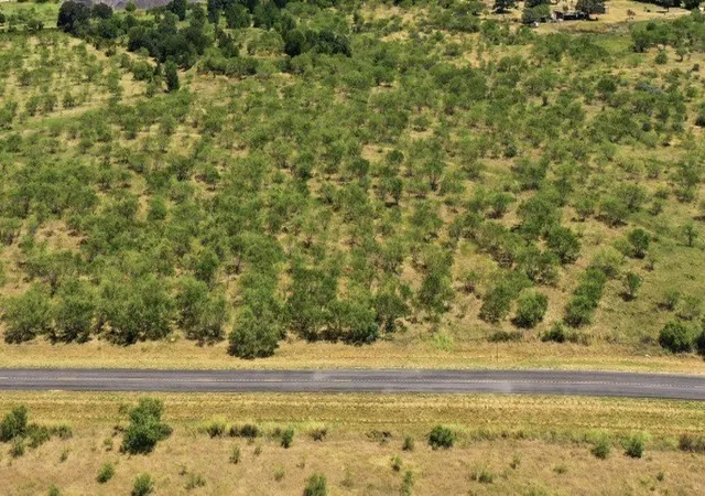 Photo 2 of Land for sale at 260 Cr 366 #Tract 11, Gorman, TX 76454 | MLS# 21364880 | Listing updated on 2026-09-18