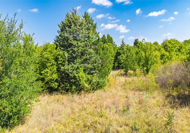 Photo 4 of Land for sale at 0000 Gladys, Lone Oak, TX 75453 | MLS# 21364960 | Listing updated on 2026-08-20
