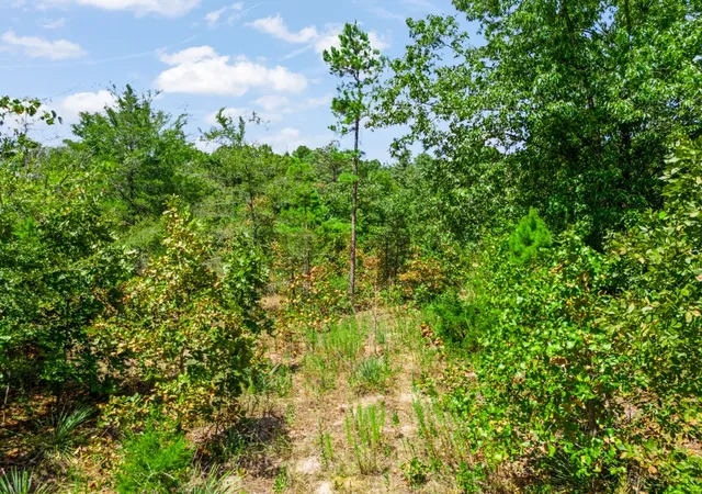 Photo 3 of Land for sale at Tbd Cr 3854 4542 Acres, Hawkins, TX 75765 | MLS# 21365351 | Listing updated on 2026-08-21