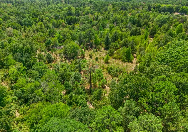 Photo 4 of Land for sale at Tbd Cr 3854 4542 Acres, Hawkins, TX 75765 | MLS# 21365351 | Listing updated on 2026-08-21