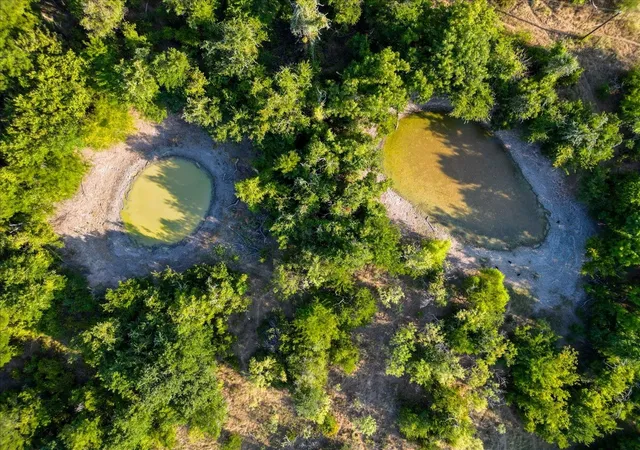 Photo 3 of Land for sale at Tbd Bounty Rd, Perrin, TX 76486 | MLS# 21354080 | Listing updated on 2026-10-01