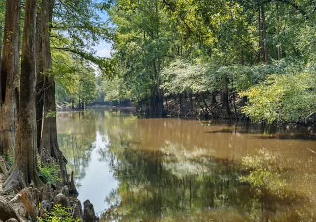 Photo 2 of Land for sale at 1602 Tx Hwy 49, Jefferson, TX 75657 | MLS# 21365441 | Listing updated on 2026-08-21