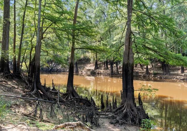Photo 3 of Land for sale at 1602 Tx Hwy 49, Jefferson, TX 75657 | MLS# 21365441 | Listing updated on 2026-08-21