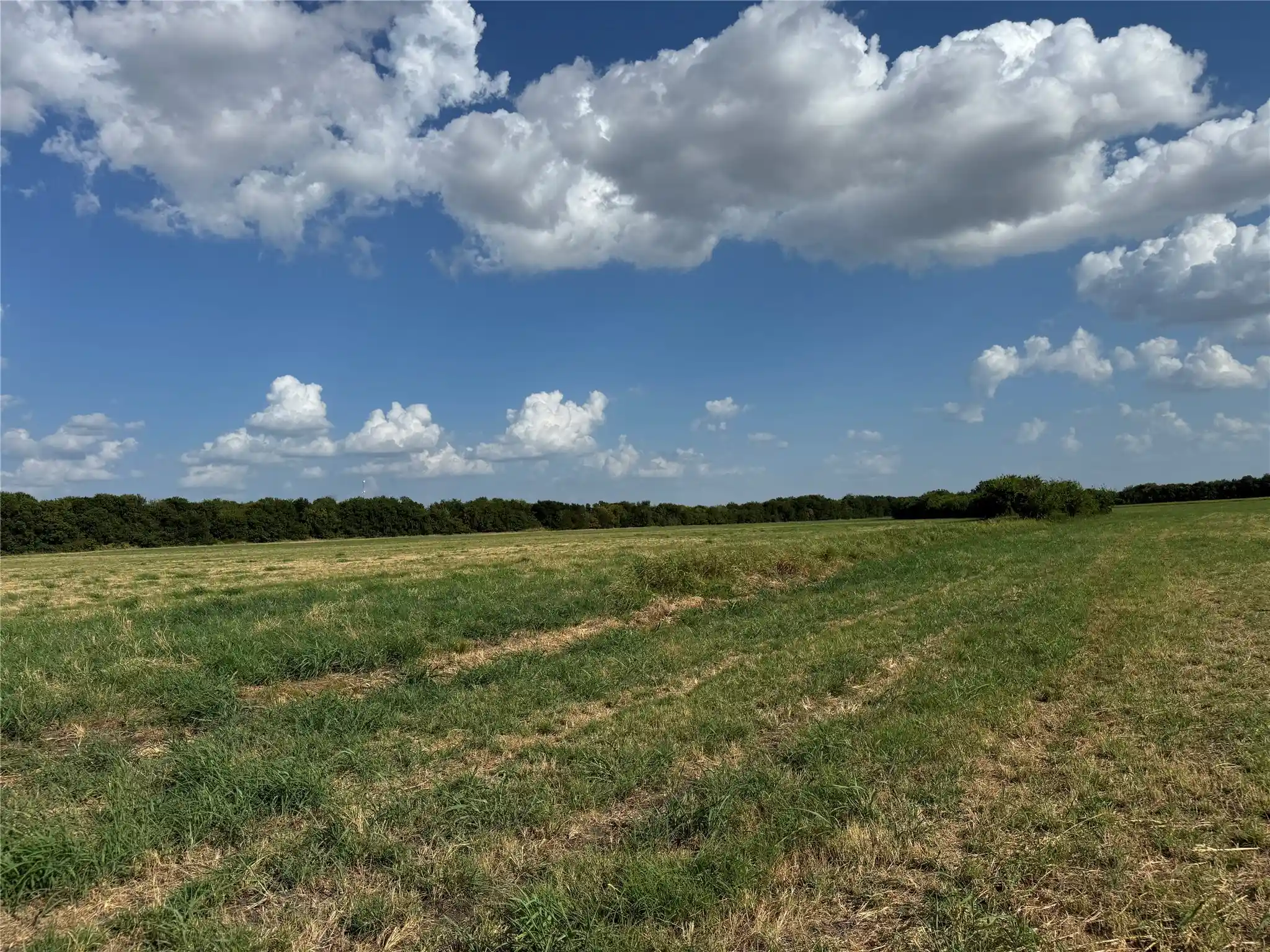 Photo 1 of Land for sale at Tract 8, 13103 Acres County Rd 3700, Leonard, TX 75452 | MLS# 21365180 | Listing updated on 2026-10-21