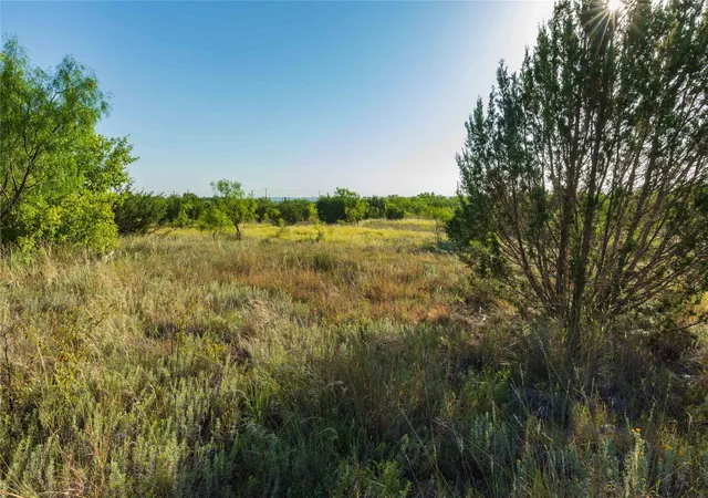 Photo 3 of Land for sale at Tbd Cr 250 Hwy 83, Ovalo, TX 79541 | MLS# 21365538 | Listing updated on 2026-09-02