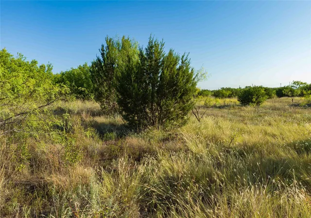 Photo 3 of Land for sale at Tbd Cr 250 Hwy 83, Ovalo, TX 79541 | MLS# 21365538 | Listing updated on 2026-09-02