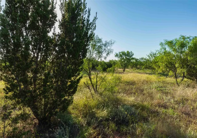 Photo 4 of Land for sale at Tbd Cr 250 Hwy 83, Ovalo, TX 79541 | MLS# 21365538 | Listing updated on 2026-09-02