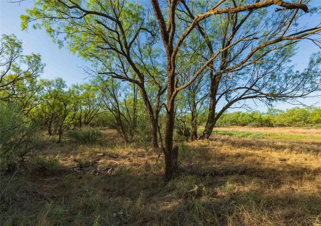 Photo 3 of Land for sale at Oo Fm 1226, Stamford, TX 79553 | MLS# 21365653 | Listing updated on 2026-09-24