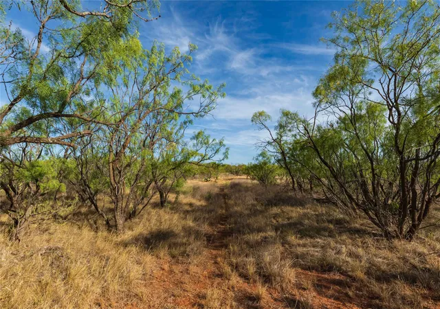 Photo 4 of Land for sale at Oo Fm 1226, Stamford, TX 79553 | MLS# 21365653 | Listing updated on 2026-09-24