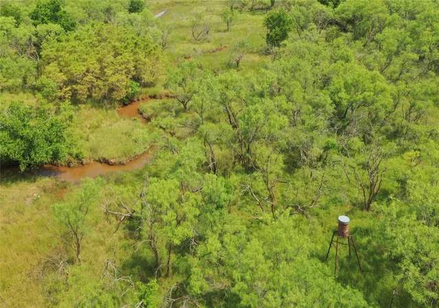 Land for sale at Tbd Fm 2321-Tract 1, Bellevue, TX 76228 | MLS# 21365965