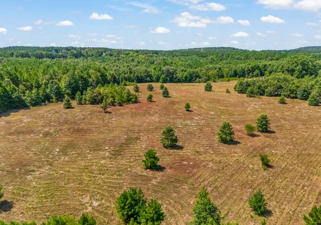 Photo 1 of Land for sale at 12843 Fm 2796, Pittsburg, TX 75686 | MLS# 21366360 | Listing updated on 2026-08-24