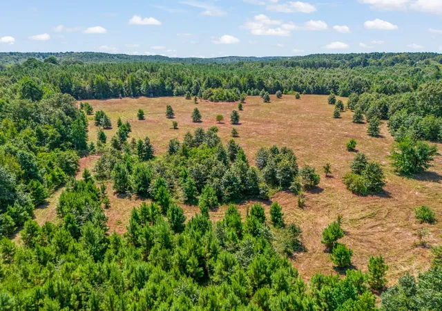 Photo 2 of Land for sale at 12843 Fm 2796, Pittsburg, TX 75686 | MLS# 21366360 | Listing updated on 2026-08-24