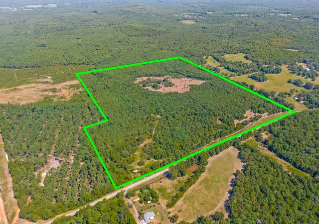 Photo 3 of Land for sale at 12843 Fm 2796, Pittsburg, TX 75686 | MLS# 21366360 | Listing updated on 2026-08-24