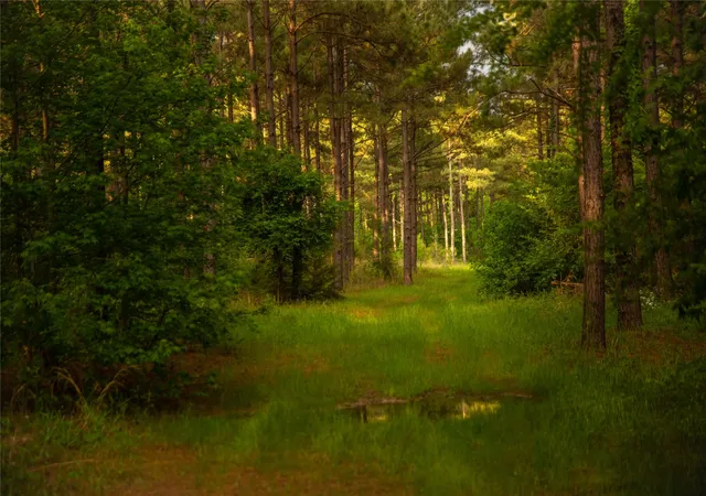 Photo 3 of Land for sale at 945 Fm 130, Linden, TX 75563 | MLS# 21366090 | Listing updated on 2026-08-22
