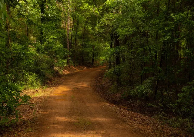 Photo 4 of Land for sale at 945 Fm 130, Linden, TX 75563 | MLS# 21366090 | Listing updated on 2026-08-22