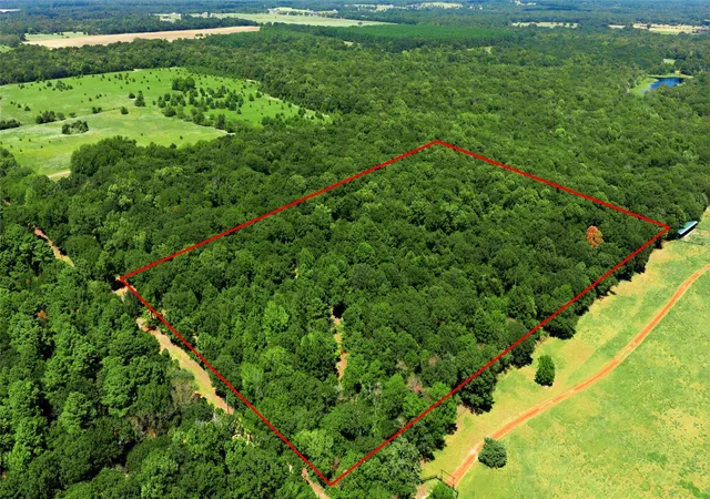 Land for sale at Tbd Cr 3613, Murchison, TX 75758 | MLS# 21362659